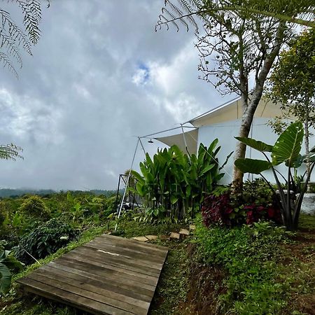 Harsa Eco Luxury Camp Hotel Gobleg  Exterior foto