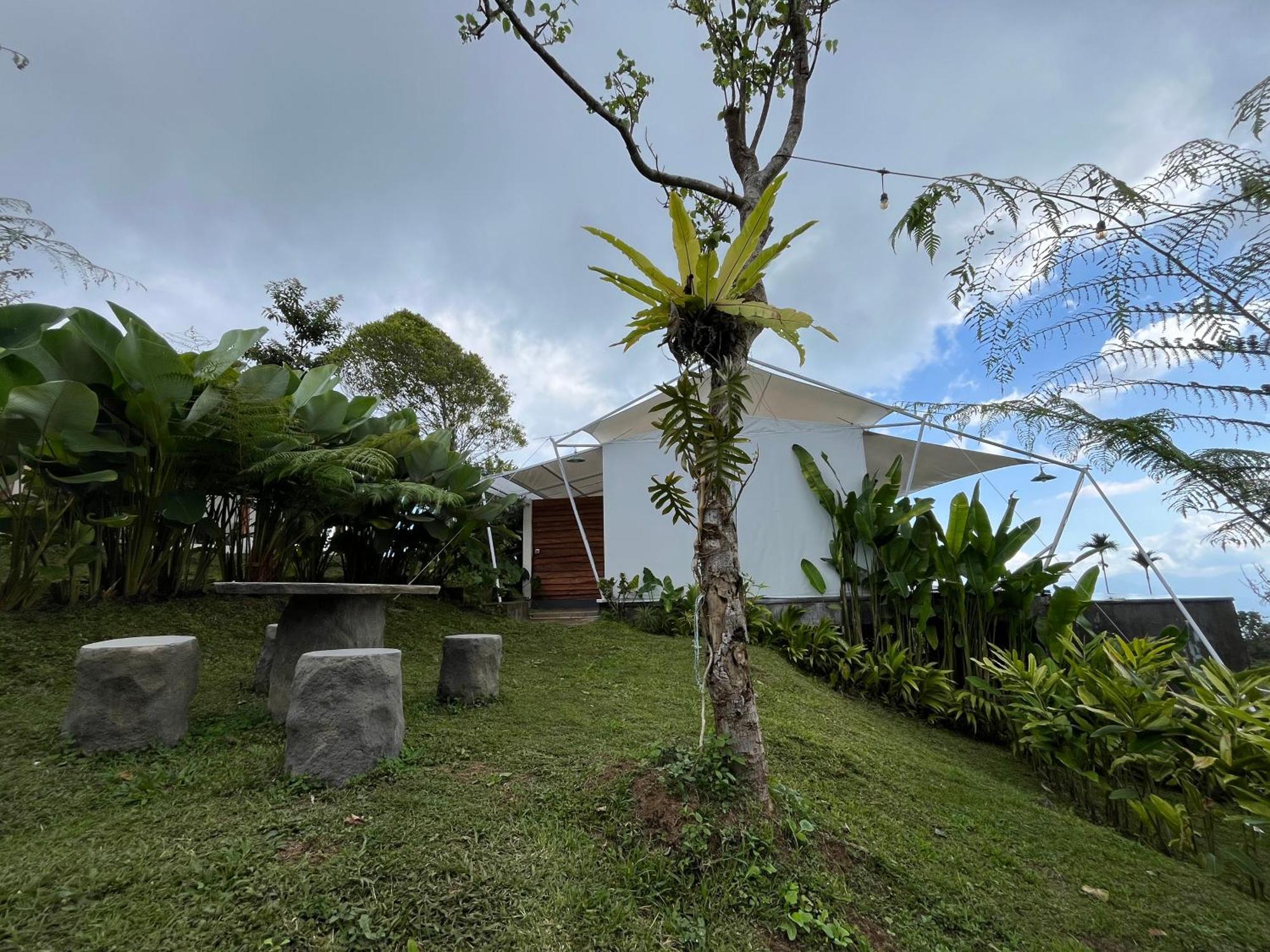 Harsa Eco Luxury Camp Hotel Gobleg  Exterior foto