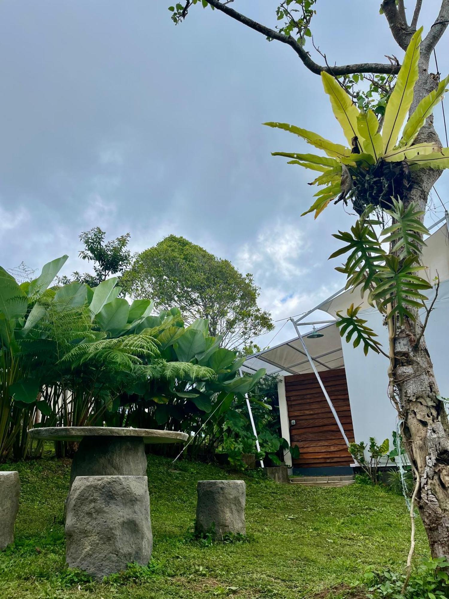 Harsa Eco Luxury Camp Hotel Gobleg  Exterior foto