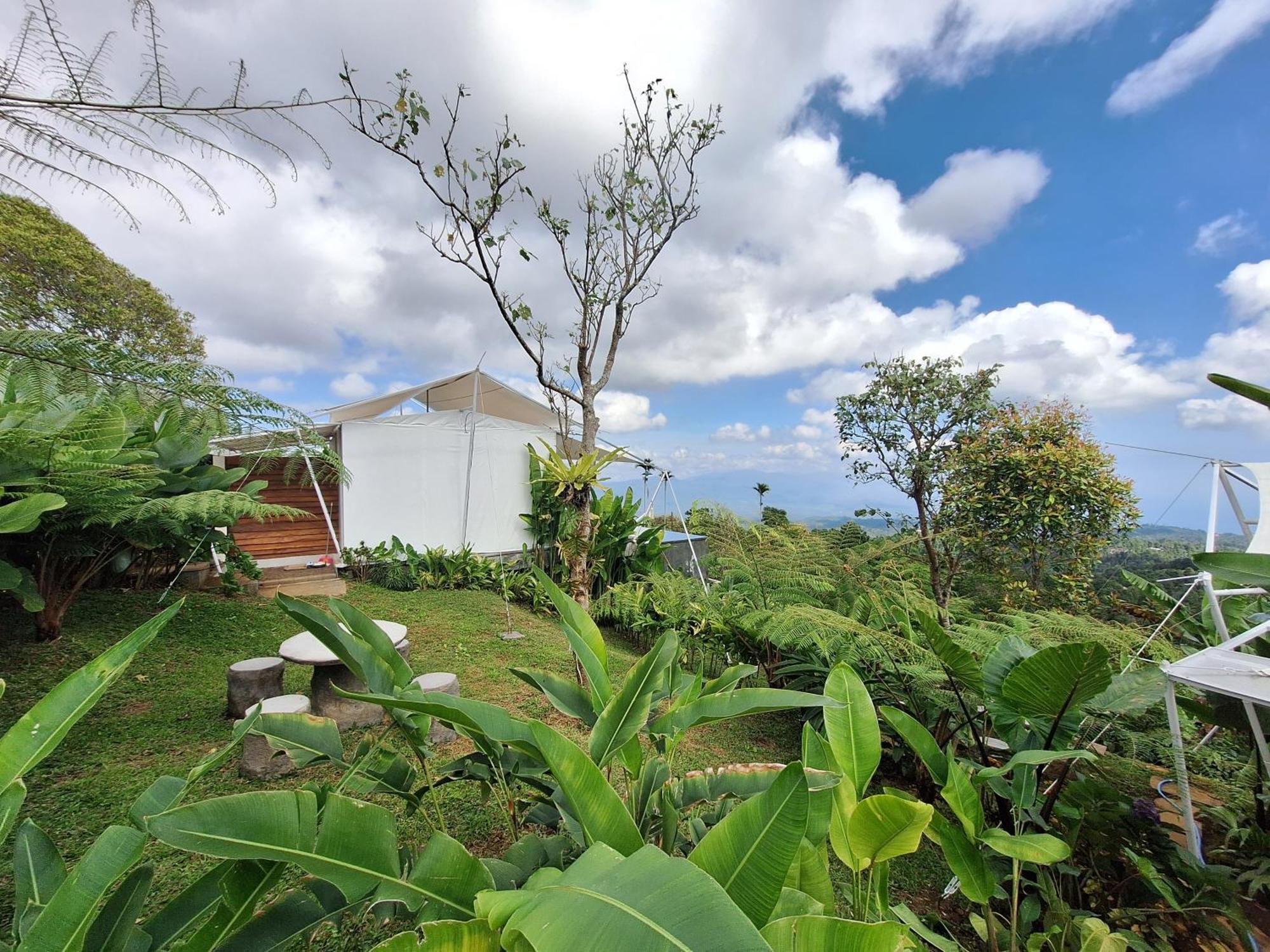 Harsa Eco Luxury Camp Hotel Gobleg  Exterior foto