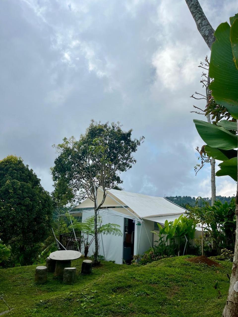 Harsa Eco Luxury Camp Hotel Gobleg  Exterior foto